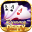 new rummy cash games